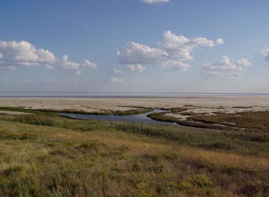 Российская академия наук обратила внимание на малые реки Приэльтонья